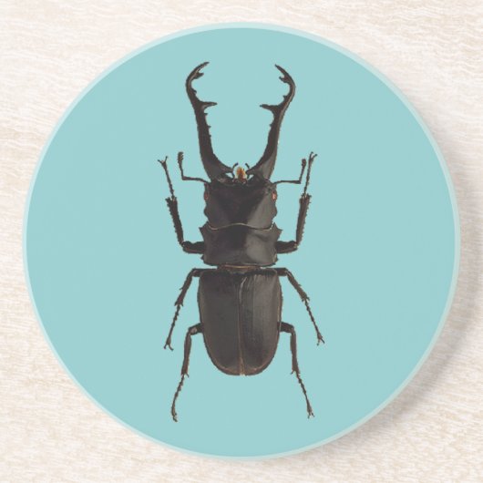 Stag Beetle Getränkeuntersetzer (Vorne)