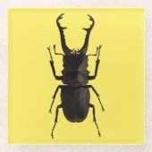Stag Beetle Glasuntersetzer (Vorderseite)