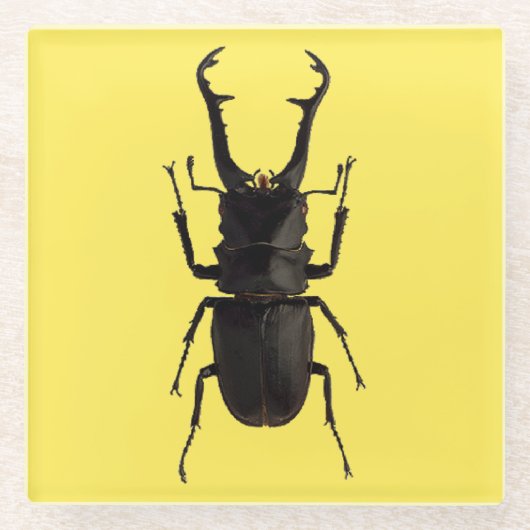 Stag Beetle Glasuntersetzer (Vorderseite)