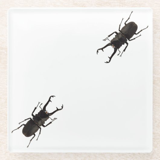 Stag Beetle Glasuntersetzer (Vorderseite)