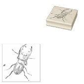 Stag Beetle Gummistempel (Stempel)