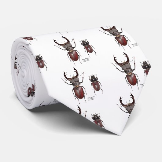 Stag Beetle Krawatte (Gerollt)