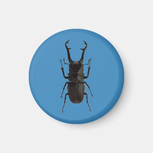 Stag Beetle Magnet (Vorne)