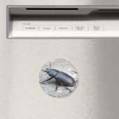Stag Beetle Magnet (In Situ (Geschirrspüler))