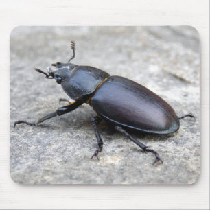 Stag Beetle Mouse Mat Mousepad