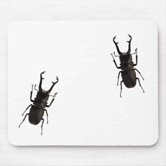 Stag Beetle Mousepad (Vorne)