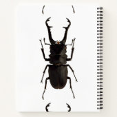 Stag Beetle Notizblock (Rückseite)