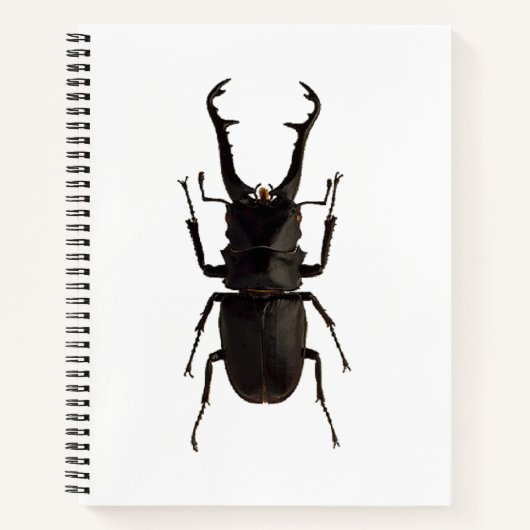 Stag Beetle Notizblock (Vorderseite)