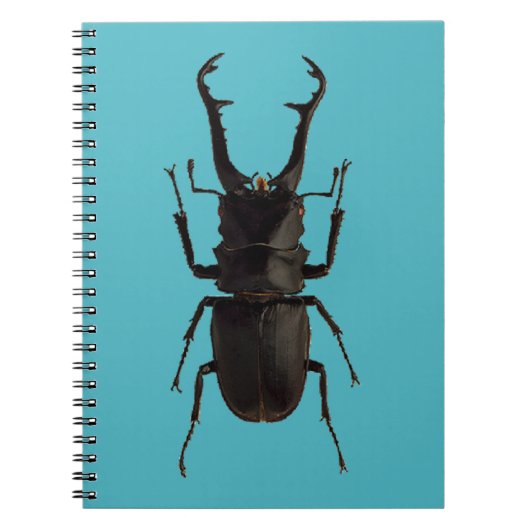 Stag Beetle Notizblock (Vorderseite)