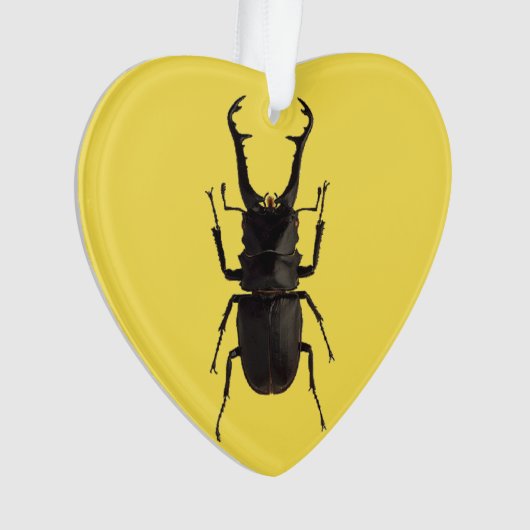 Stag Beetle Ornament (Vorderseite)