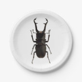 Stag Beetle Pappteller (Vorderseite)