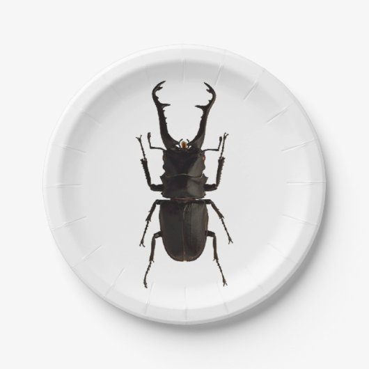 Stag Beetle Pappteller (Vorderseite)