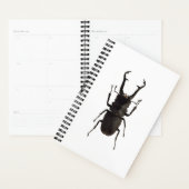 Stag Beetle Planer (Anzeige)