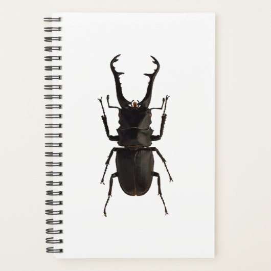 Stag Beetle Planer (Vorderseite)