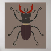 Stag Beetle Poster (Vorne)