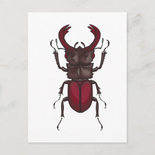 Stag beetle postkarte