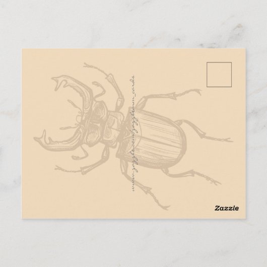 Stag Beetle Postkarte (Rückseite)