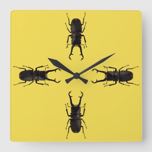 Stag Beetle Quadratische Wanduhr (Vorderseite)
