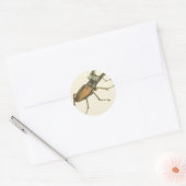 Stag Beetle Runder Aufkleber (Umschlag)