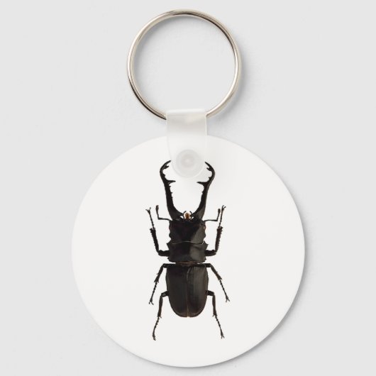 Stag Beetle Schlüsselanhänger (Vorderseite)