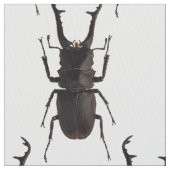 Stag Beetle Stoff (Nahaufnahme)