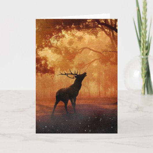 Stag bei Sunset Karte (Vorderseite)