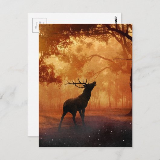 Stag bei Sunset Postkarte (Vorne/Hinten)