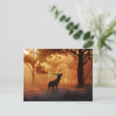 Stag bei Sunset Postkarte (Stehend Vorderseite)