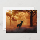 Stag bei Sunset Postkarte (Vorne/Hinten)