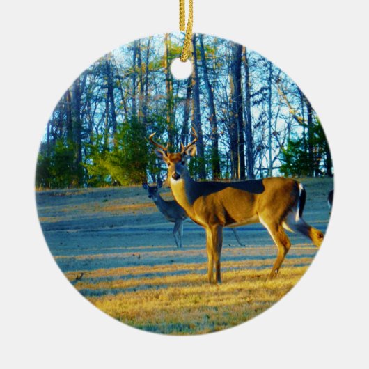 Stag / Buck Deer, hellblauer Himmel Keramikornament (Vorne)