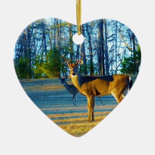 Stag / Buck Deer, hellblauer Himmel Keramikornament (Vorne)