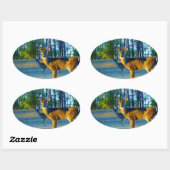 Stag / Buck Deer, hellblauer Himmel Ovaler Aufkleber (Blatt)