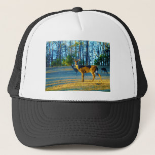 Stag / Buck Deer, hellblauer Himmel Truckerkappe