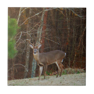 Stag / Buck Deer Oak Camouflage Fliese