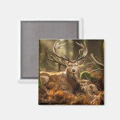 Stag Deer Animal Wild Beauty Freedom Wilderness Magnet (Vorderseite/Rückseite)