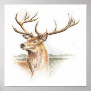 Stag Deer Print Poster