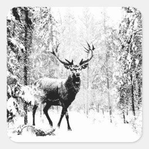 Stag Deer Winter Forest Wildlife Animal Nature Art Quadratischer Aufkleber