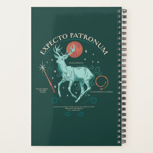 Stag Expecto Patronum Graphic Planer (Rückseite)