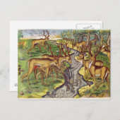 Stag Hunt von 'Brevis Narratio' Postkarte (Vorne/Hinten)
