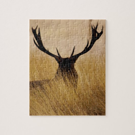 Stag im Pinsel - 8x10 - 110 Stück Puzzle (Vertikal)