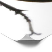 Stag Käfer 2011 Poster (Ecke)