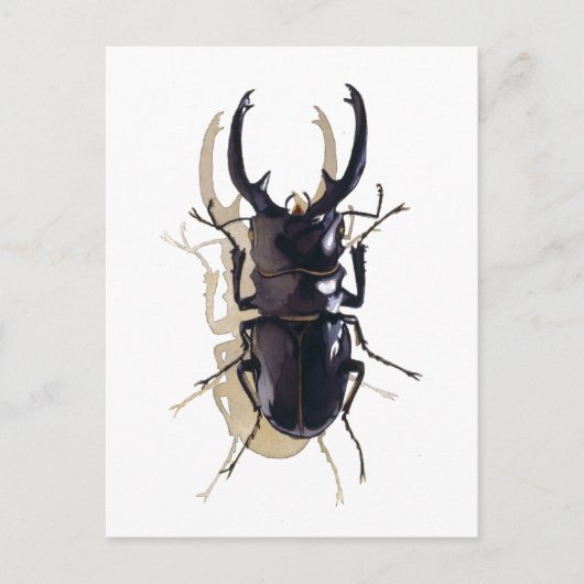 "Stag käfer" Insektenkunst Postkarte (Vorderseite)