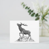 Stag - leere Postkarte (Stehend Vorderseite)