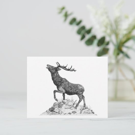 Stag - leere Postkarte (Stehend Vorderseite)