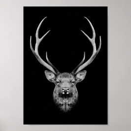 Stag-Plakat Poster