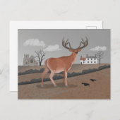 Stag Postkarte (Vorne/Hinten)