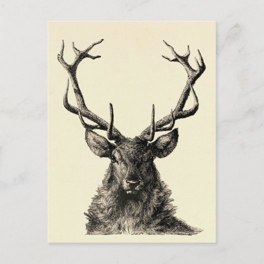 Stag Print, Hirschdruck, Vintag, skandinavisch Postkarte (Vorderseite)