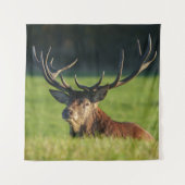 Stag-Ruhen im Grünen Wandteppich (Vorderseite)