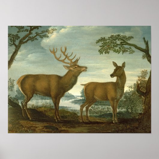 Stag und Hinter einer bewaldeten Landschaft Poster (Vorne)