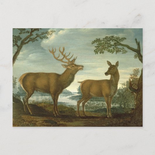 Stag und Hinter einer bewaldeten Landschaft Postkarte (Vorderseite)